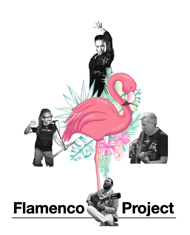 Flamenco Project